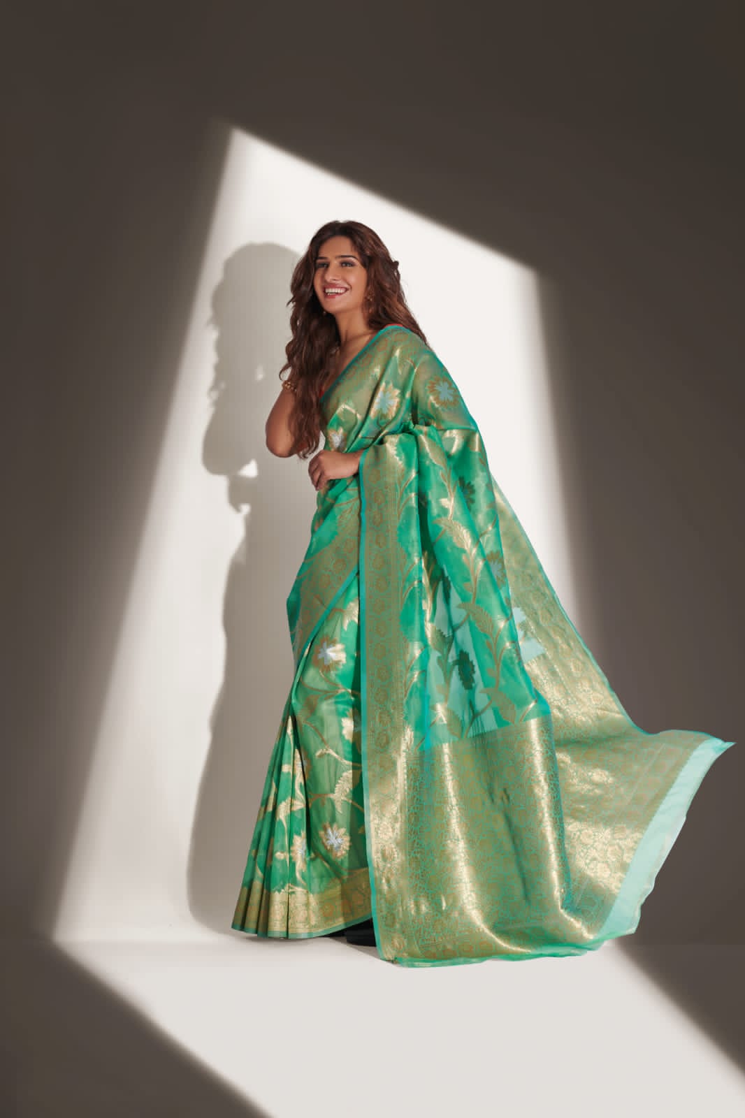 Rajyog Alishya Silk collection 4