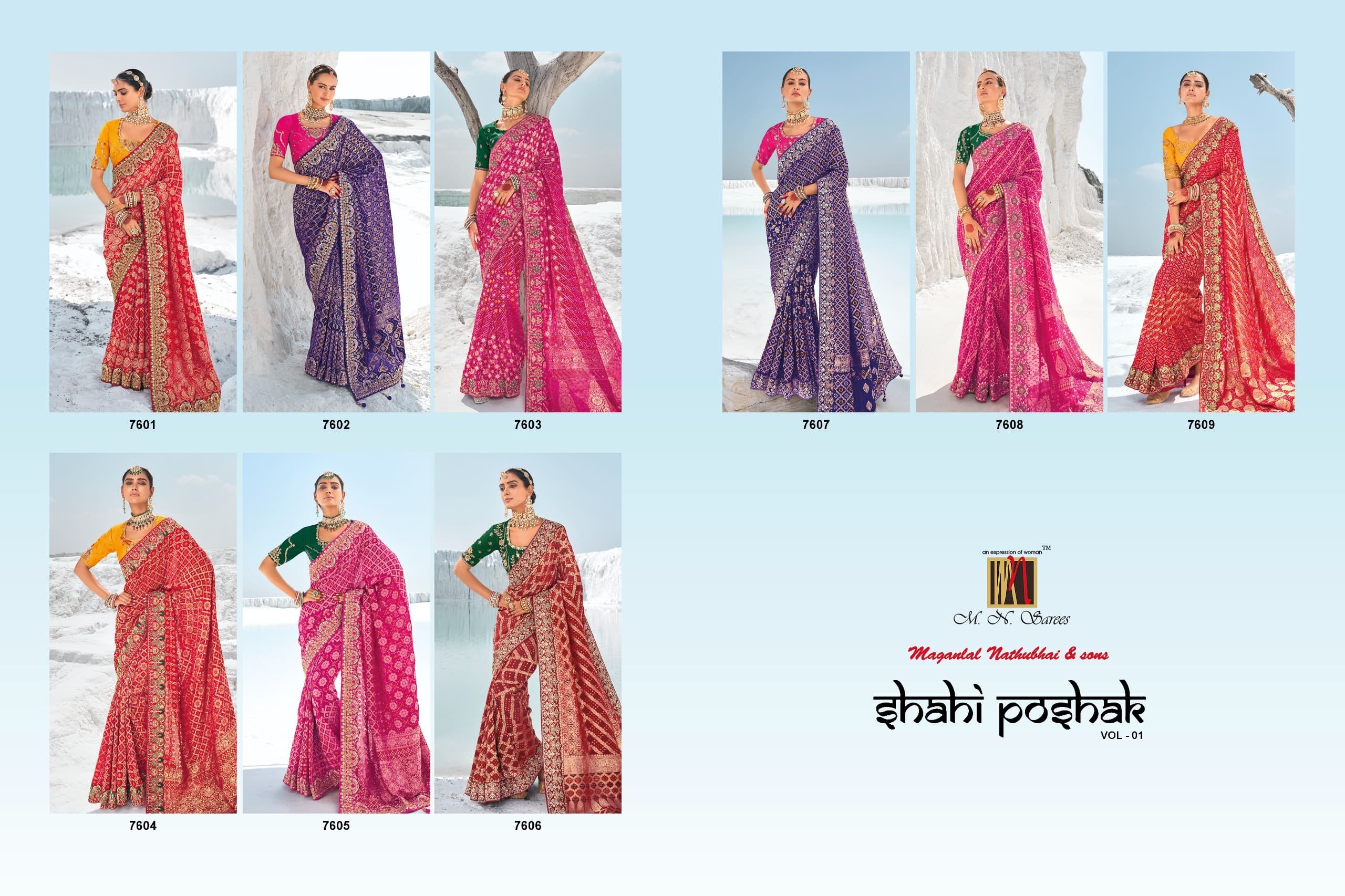 M N Sakhi Poshak Vol 1 collection 1